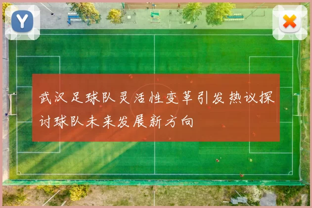 武汉足球队灵活性变革引发热议探讨球队未来发展新方向