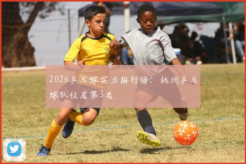 2026乒乓球实力排行榜：杭州乒乓球队位居第3名