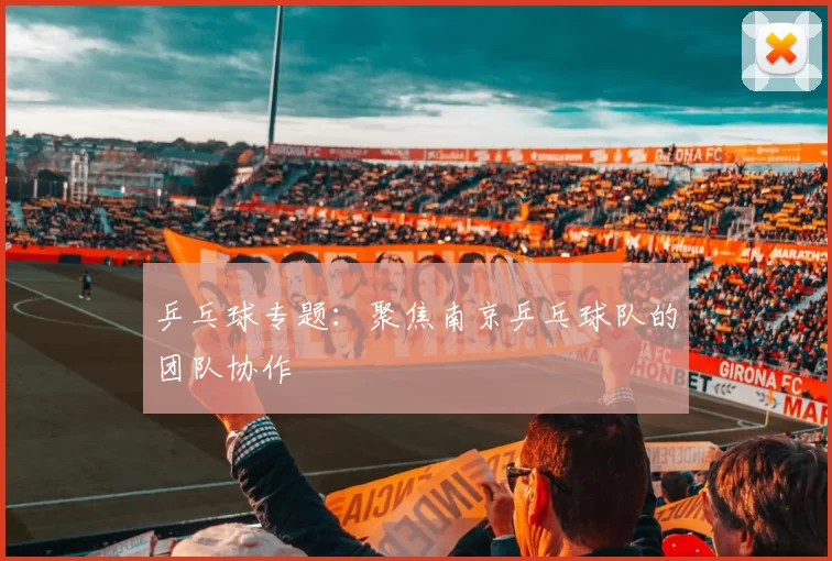 乒乓球专题：聚焦南京乒乓球队的团队协作